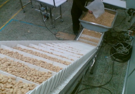杏仁輸送機 瓜子輸送機 花生輸送機 腰果輸送機 種子輸送機 栗子輸送機 蠶豆輸送機 開心果輸送機
