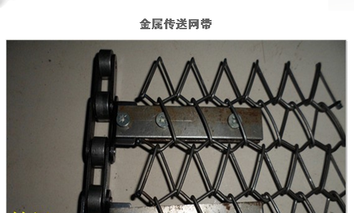 加固型網帶
