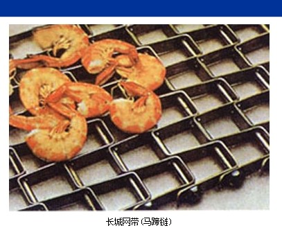 長城網帶照片圖片 長城網帶材質 長城網帶寬度長度節距 長城網帶板厚板條高度