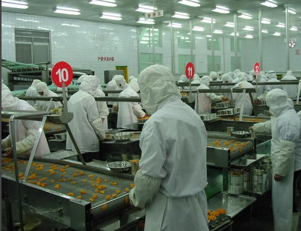 輸送機 輸送桔子片的網(wǎng)帶輸送機 桔片灌裝線