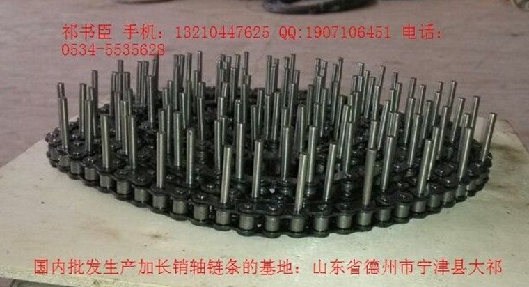 C2162型長軸鏈條 節距101.6毫米